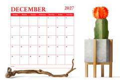2027 Square Serif Bold COLOR 12x12 Calendar Template Product Image 6