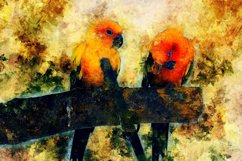 Collection of 12 Images 4k of BIRDS 300 dpi Product Image 4