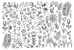 Plant &amp; Flower Specimen Doodle Clip Art Set Product Image 2
