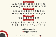 Boxing Evoke Product Image 5