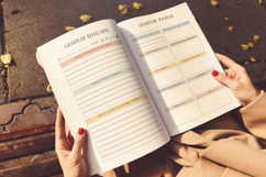 2026 Gratitude Journal canva Product Image 4