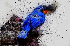 BIRDS Pack of 72 Printable Images Graphics Product Image 4