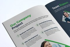 Business Brochure Template Product Image 12