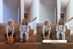 20 Ivory Lightroom Presets &amp; LUTs Product Image 6