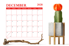 2028 Square Serif Bold COLOR 12x12 Calendar Template Product Image 6