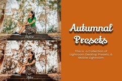 Perfessional photography with our 25 captivating Autumnal Lightroom Presets Desktop and Mobile. Aesthetic, HDR, and moody effects for Glowing results. Perfect for modeling, family, nature &amp; outdoor photography. Easy installation with XMP - DNG files.