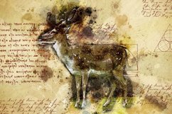ANIMAL Printable Illustrations Pack # 17 graphics JPG Product Image 1