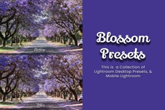 30 Blossom Lightroom Bundle Product Image 2