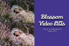30 Blossom LUT Collection Product Image 3