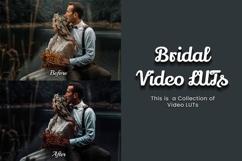 30 Bridal LUT Collection Product Image 7