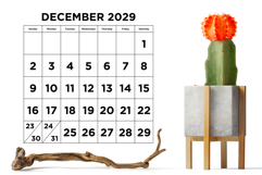 2029 Large Number Bold 8.5 x 11 Inch Calendar Template Product Image 5