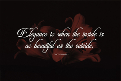 Alegarde Product Image 5