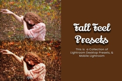 30 Fall Feel Lightroom Collection Product Image 9