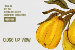 Farm Fresh Market's Vintage Fruit Tee Sublimation Design 05 Product Image 2