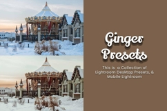 30 Ginger Lightroom Bundle Product Image 8