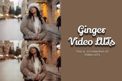 30 Ginger LUT Collection Product Image 2
