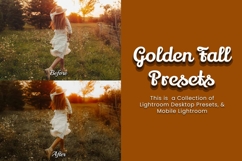 30 Golden Fall Lightroom Collection Product Image 5