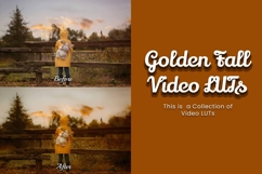 30 Golden Fall LUT Collection Product Image 3