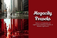30 Megacity Lightroom Collection Product Image 5