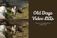 30 Old Days LUT Collection Product Image 4