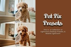 Pet Pix Editing Tools - Achieve beautiful and consistent edits for your pet images.