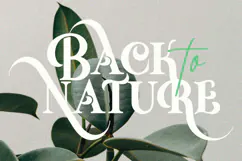 Winter Day - Luxury All Caps Display Serif Product Image 5