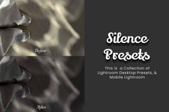 30 Silence Lightroom Collection Product Image 3