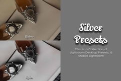 30 Silver Lightroom Collection Product Image 5