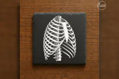 The Ivory Cage Anatomy Laser Engraving PNG Product Image 1