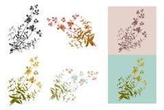 Botanical hand drawn herbal twig flowers with leaves outline Product Image 1