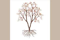 Irga bush with flowers and roots on a white background.