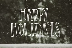 40 Christmas Photo Overlays  FREE symbols font Product Image 13