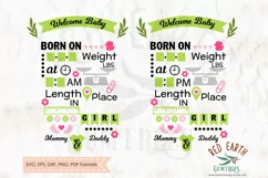 Baby girl announcement chart template SVG,DXF,PNG,EPS,PDF Product Image 3