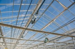 The roof in the greenhouse Product Image 1