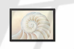 Fibonacci Golden Ratio. Divine measure of beauty Product Image 3