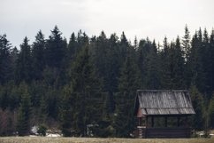 Abandoned wooden house in the forest. Product Image 1