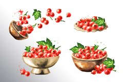 Red currant. Watercolor collection Product Image 4