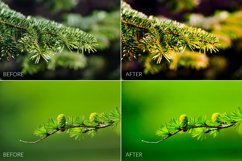 Fir Branches Lr Presets Product Image 5