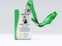 Business Company Identity Card Template Product Image 4