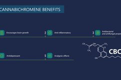 Main benefits of cannabis elements Product Image 3