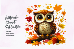 Cute baby owl with autumn leaves watercolor clipart Product Image 1