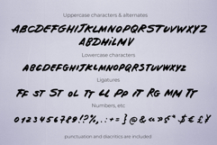 Make your mark handwritten marker font handwriting real bold Product Image 6