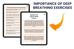 2026 Digital Burnout Recovery Workbook Product Image 3