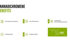 Main benefits of cannabis elements Product Image 6