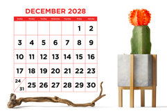 2028 Large Number Bold Color 8.5 x 11 Inch Calendar Template Product Image 6