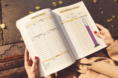 2026 Budget Planner Canva KDP Product Image 6