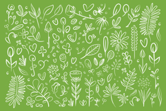 Plant &amp; Flower Specimen Doodle Clip Art Set Product Image 6