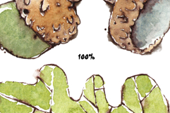 Acorns &amp; Leaves Seamless Watercolour Patterns Product Image 6