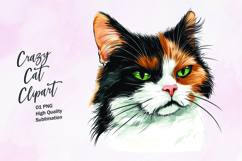 Crazy cat watercolor clipart PNG Product Image 1