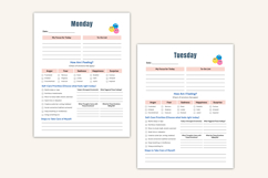DBT Emotional Regulation Planner Product Image 5